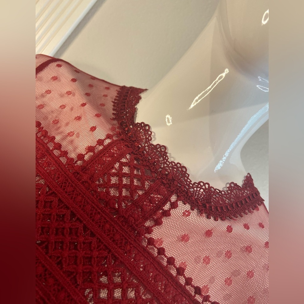L & F~NWT~Lovely~Tiered Ruffle~Sheer Netting~Embroidered Lace~Mini Dress~Size S - Picture 12 of 15